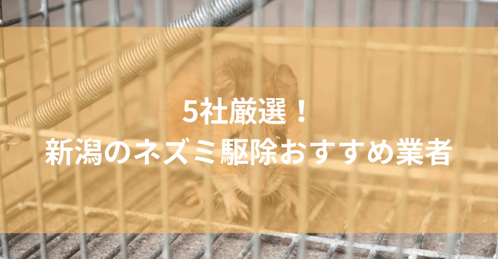 【新潟】ネズミ駆除おすすめ業者5社！低料金で対応する新潟エリアの業者