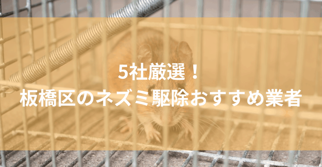 【板橋区】ネズミ駆除おすすめ業者5社！低料金で対応する板橋区エリアの業者