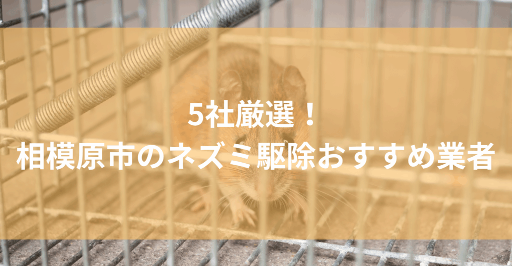 【相模原市】ネズミ駆除おすすめ業者5社！低料金で対応する相模原エリアの業者