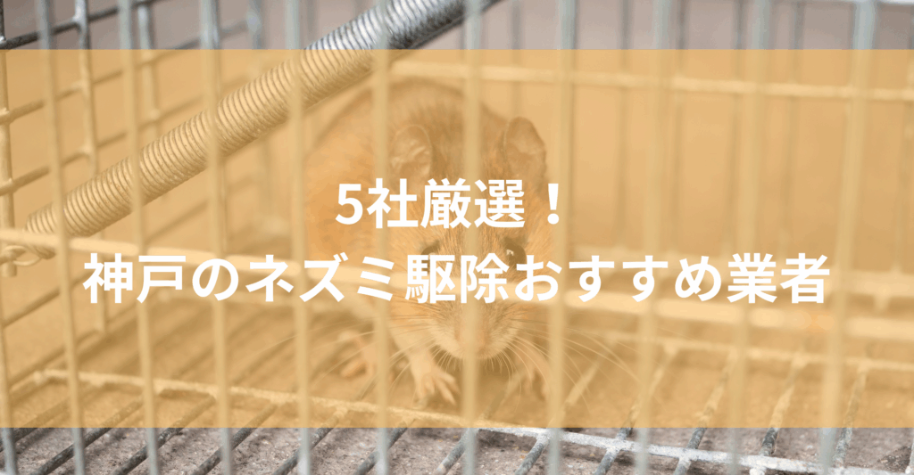 【神戸】ネズミ駆除おすすめ業者5社！低料金で対応する神戸エリアの業者