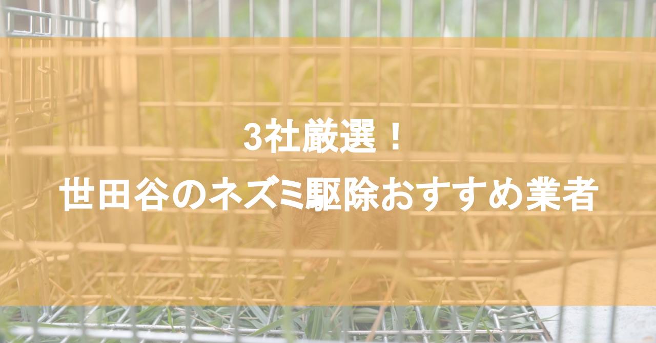 世田谷のネズミ駆除