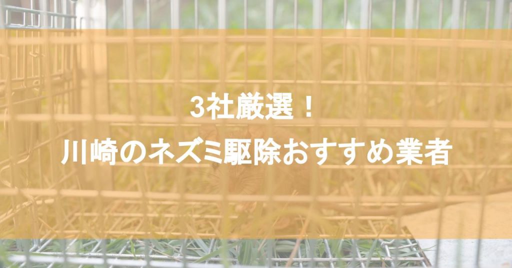 【川崎】ネズミ駆除おすすめ業者3社！低料金で対応する川崎エリアの業者