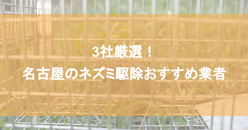 【名古屋】ネズミ駆除おすすめ業者3社！低料金で対応する名古屋エリアの業者