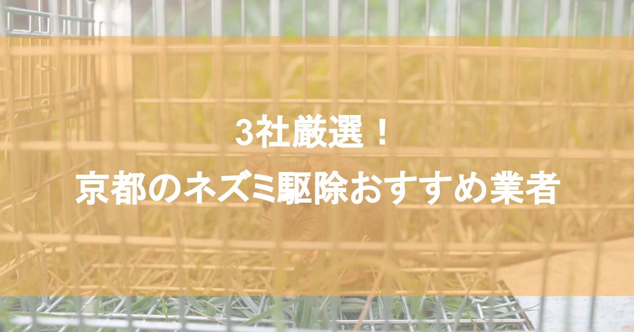 京都のネズミ駆除