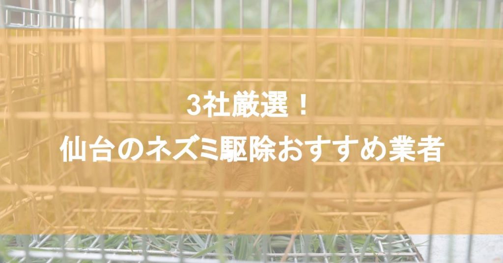 【仙台】ネズミ駆除おすすめ業者3社！低料金で対応する仙台エリアの業者