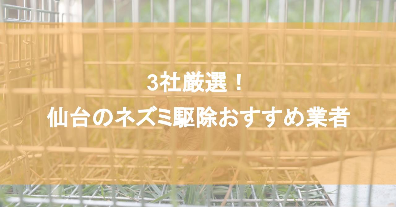 仙台のネズミ駆除