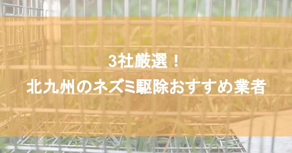 【北九州】ネズミ駆除おすすめ業者3社！低料金で対応する北九州エリアの業者